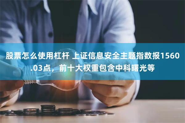 股票怎么使用杠杆 上证信息安全主题指数报1560.03点，前十大权重包含中科曙光等