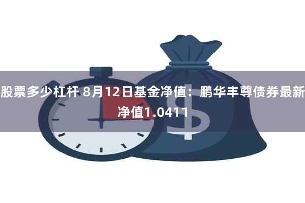 股票多少杠杆 8月12日基金净值：鹏华丰尊债券最新净值1.0411