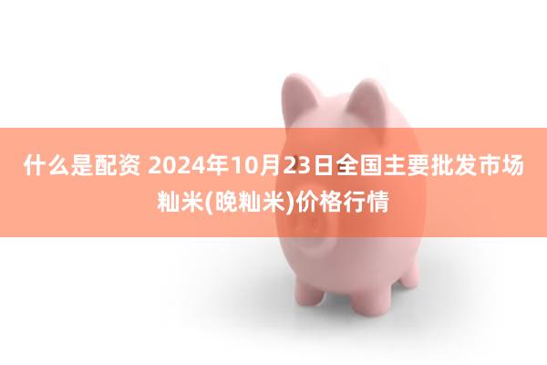 什么是配资 2024年10月23日全国主要批发市场籼米(晚籼米)价格行情