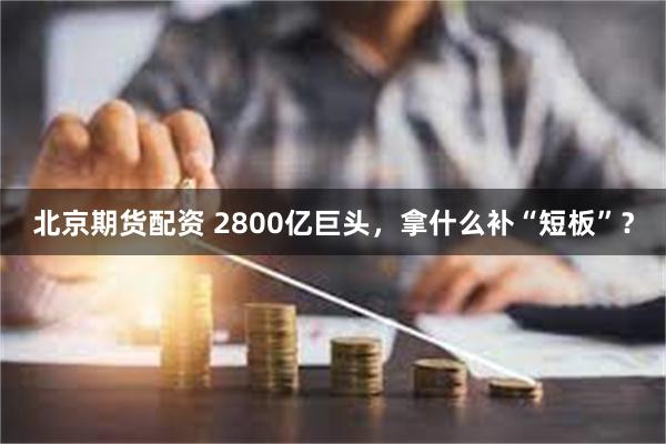 北京期货配资 2800亿巨头，拿什么补“短板”？