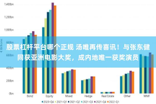 股票杠杆平台哪个正规 汤唯再传喜讯！与张东健同获亚洲电影大奖，成内地唯一获奖演员